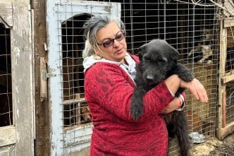 Ramona Dumitru Rotunjeanu, adăpost câini, Poiana Copăceni, Prahova, câini în adăpost, interviu, donații hrană, iubitor de câini, interviu Ramona din Copăceni