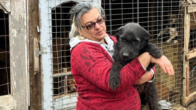 Ramona Dumitru Rotunjeanu, adăpost câini, Poiana Copăceni, Prahova, câini în adăpost, interviu, donații hrană, iubitor de câini, interviu Ramona din Copăceni
