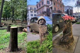 arbori uscați, doborâre controlată, Dragoș Machițescu, director SGU Ploiești, artă urbană, Ploiești, Colegiul de Artă, Carmen Sylva Ploiești, cover