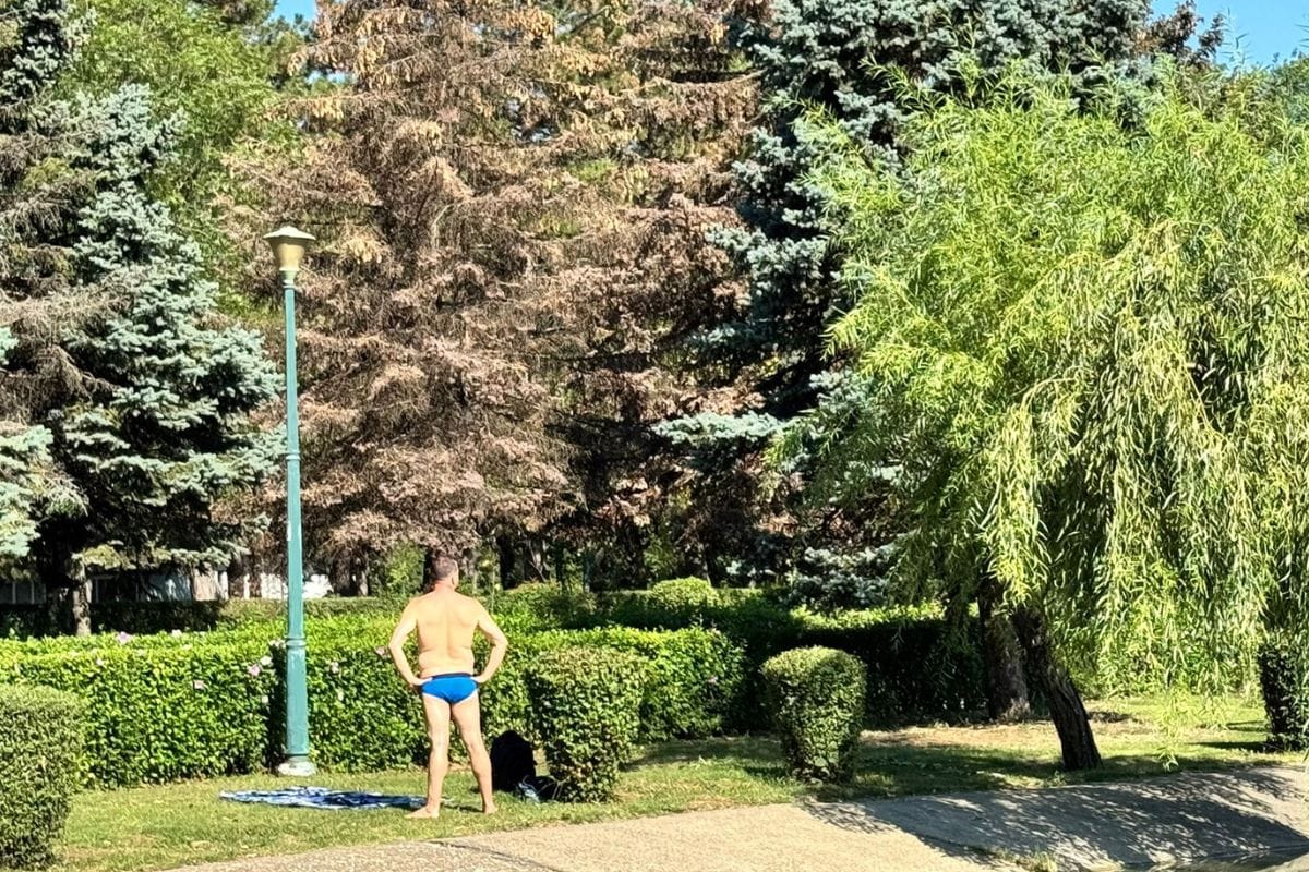 La plajă, în parc, la Sala Sporturilor din Ploiești.