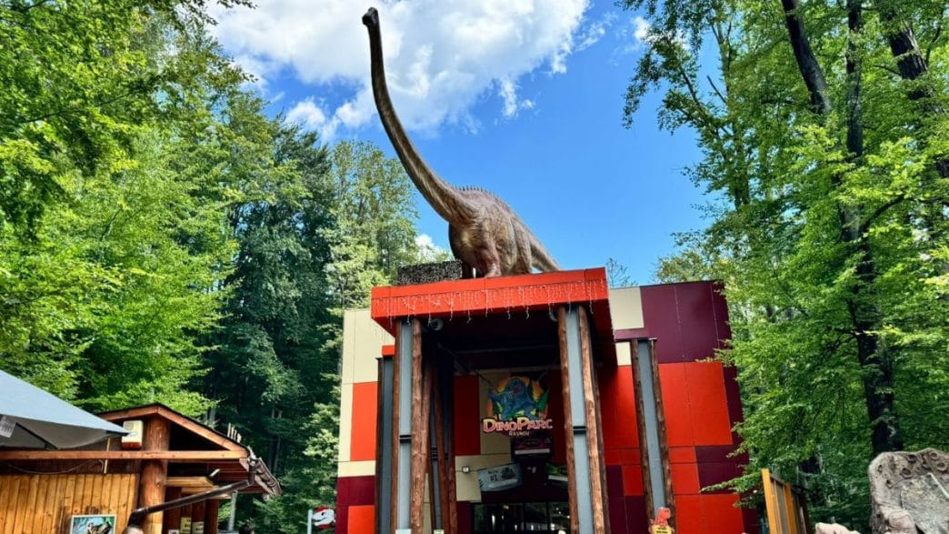 Dino Parc Râșnov, experiența, parc Râșnov, invazie viespi, intrare
