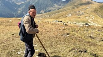 cioban, Gelu Rusu, turmă de oi, drumul Transalpina, poveste, sfat pentru tinerii, tradiție, obiceiuri, 2500 oi