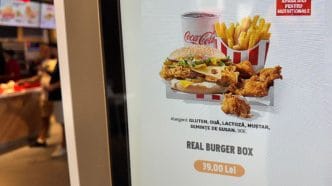 real burger box, listă E-uri, aditivi alimentari, mâncare, E-uri KFC, declarație nutrițională, fast food, e-uri periculoase