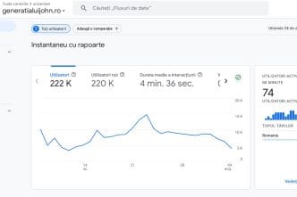 trafic, Generația lui John, Google Analytics, 28 zile, iulie - august 2024
