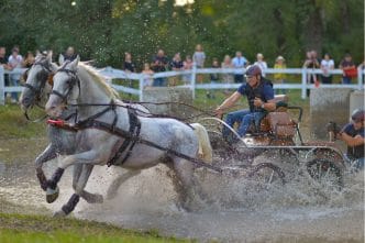 Karpatia Horse Show, 2024, ediția 9, concurs complet internațional, regal hipic, Domeniul Cantacuzino, Florești, Prahova, bilete si abonamente, cover