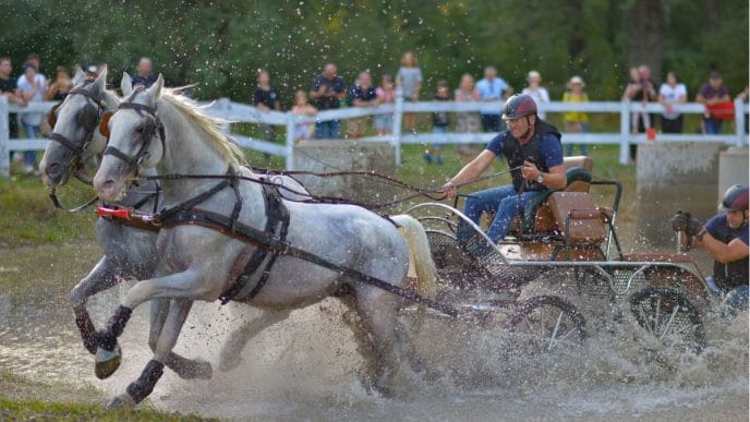 Karpatia Horse Show, 2024, ediția 9, concurs complet internațional, regal hipic, Domeniul Cantacuzino, Florești, Prahova, bilete si abonamente, cover