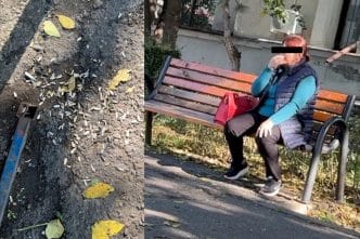 coji de semințe, video, face mizerie, dialog, reportaj, Ploiești, strada Praga, sparge semințe