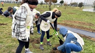 Adoptă un copac, plantare copaci, Asociația Viitor Plus, 2500 copaci, Parcul Municipal Ploiești Vest, cum se plantează un copac
