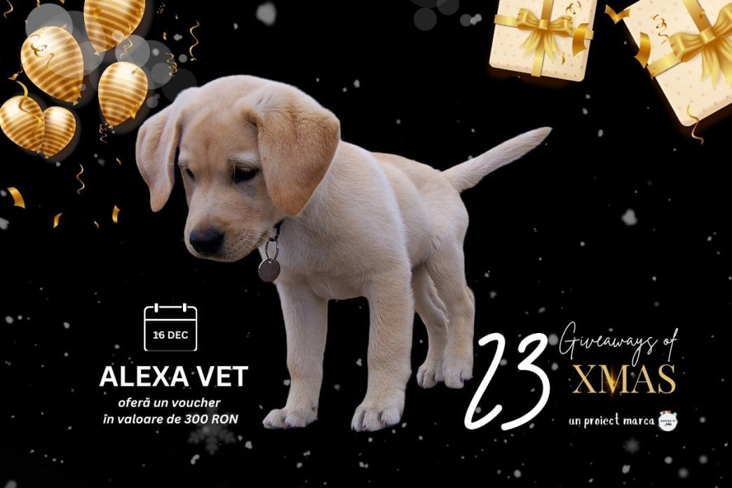 Alexa Vet, giveaway, veterinar Ploiești, voucher, 300 lei servicii, 16 dec