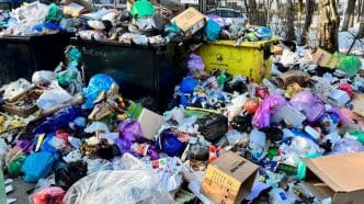 piramida lui Maslow, Ploiești, gunoaie, realitate, nevoi fiziologice, video, 26 februarie 2025