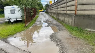 răspuns solicitare, Primăria Ploiești, stradă, Bulevardul București, gropi Ploiești, Mihai Polițeanu, răspuns primar