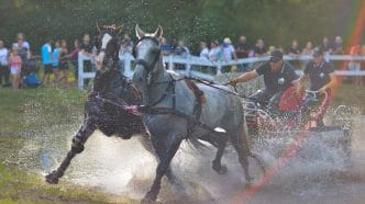 Karpatia Horse Show 2025, Domeniul Cantacuzino, Florești Prahova, eveniment ecvestru, concurs complet internațional, spectacol hipic, festival cai, echitație România, cover
