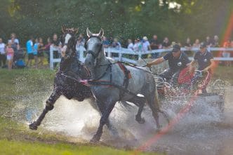Karpatia Horse Show 2025, Domeniul Cantacuzino, Florești Prahova, eveniment ecvestru, concurs complet internațional, spectacol hipic, festival cai, echitație România, cover