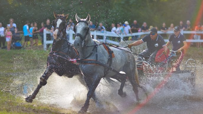 Karpatia Horse Show 2025, Domeniul Cantacuzino, Florești Prahova, eveniment ecvestru, concurs complet internațional, spectacol hipic, festival cai, echitație România, cover