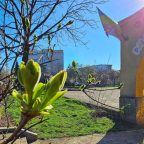 mesaj anonim, spune pe bune, recunoștință, elevă, 16 ani, Ploiești, Palatul Copiilor, Alin Nicodim, grup muzică ușoară, canto